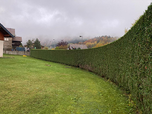 Espace Création Nature dallage pavage Cluses